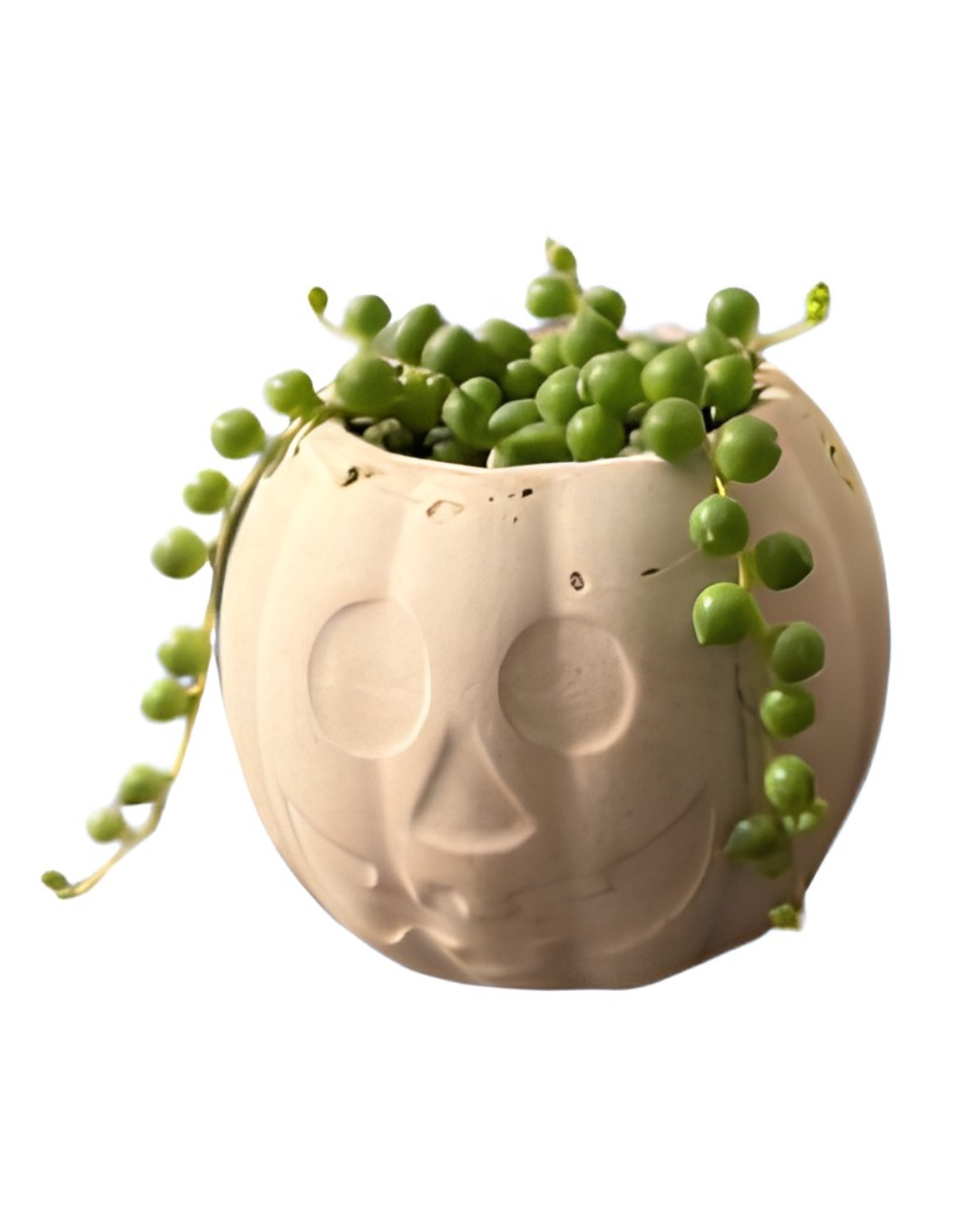 Jack-o'-Lantern Planters