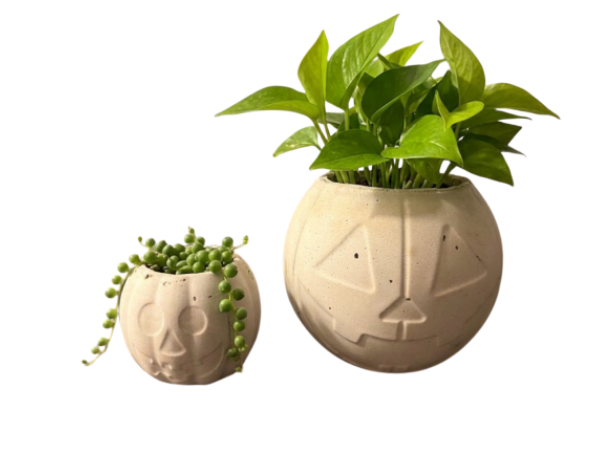Jack-o'-Lantern Planters