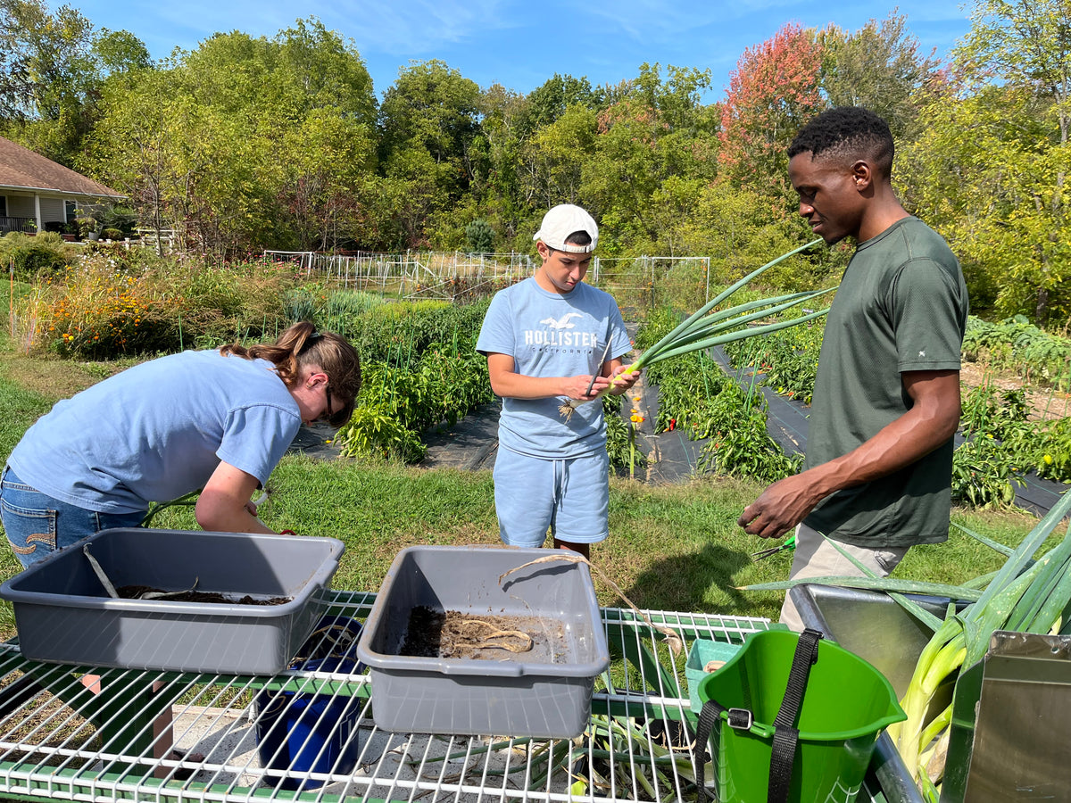 Three people working in a garden with greenery and a clear sky.