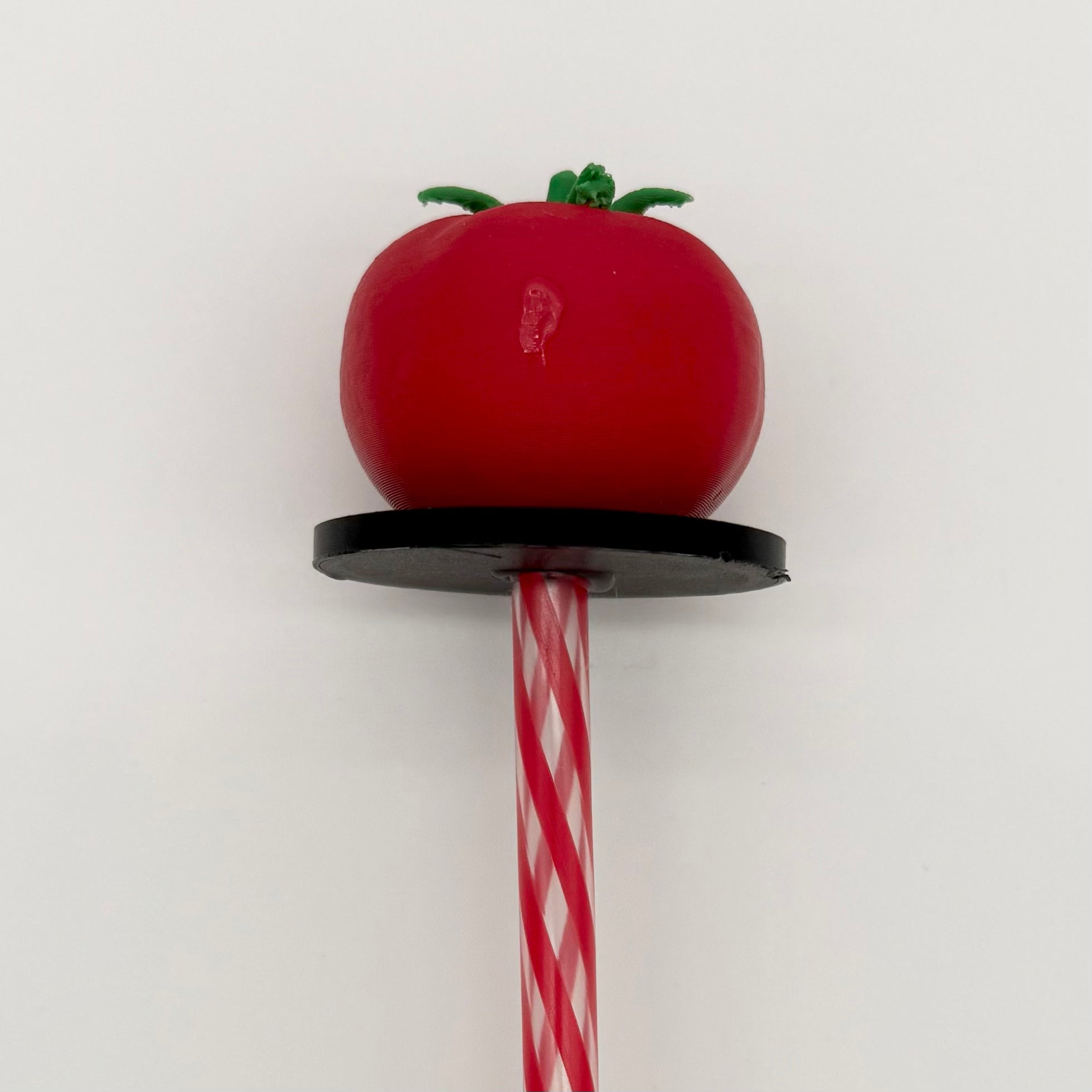 Vegetable Garden Stakes