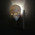 Seasonal Night Light