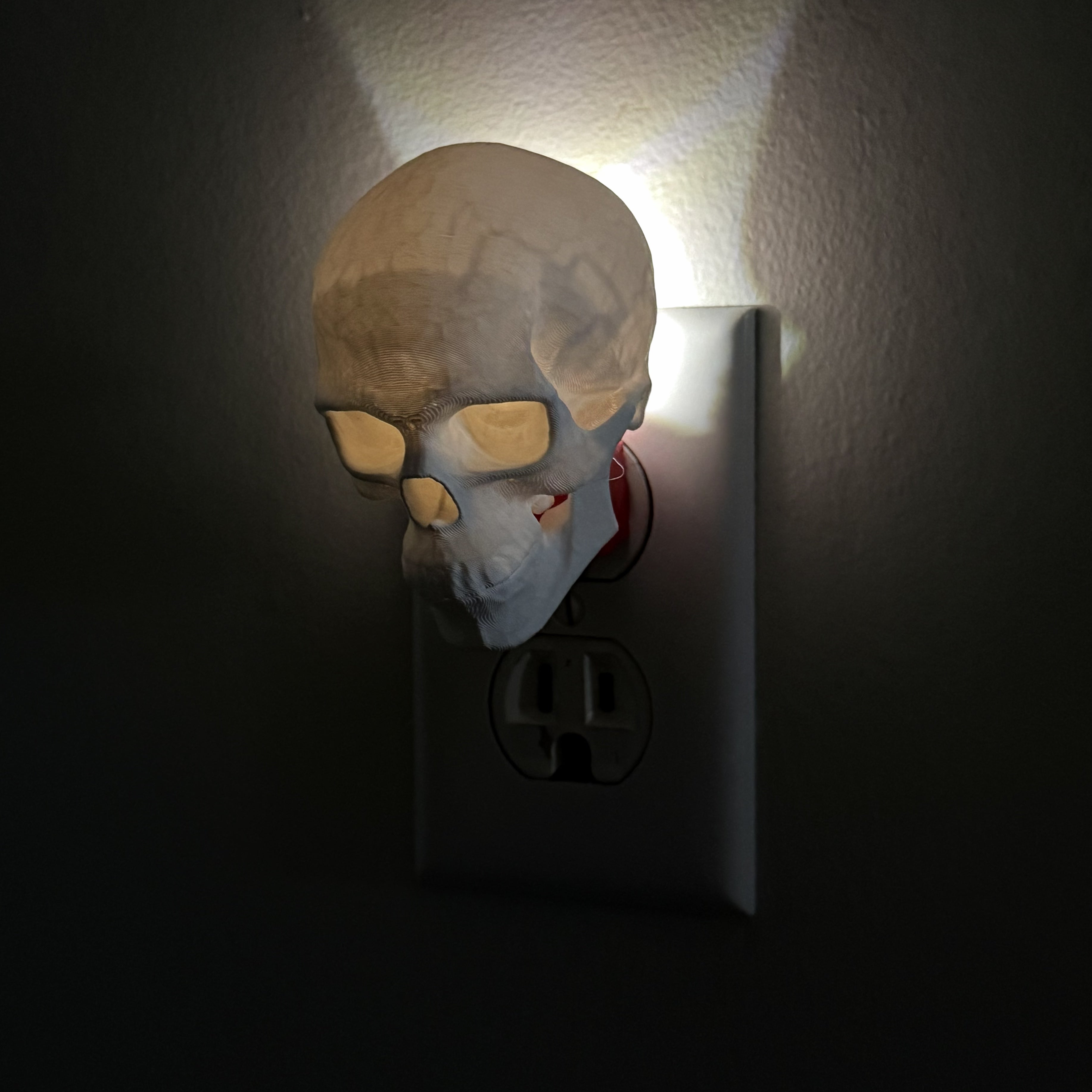 Seasonal Night Light