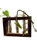 A dark brown wooden frame planter holding three clear glass test tubes with green plant stems and leaves growing inside, shown against a plain white background.